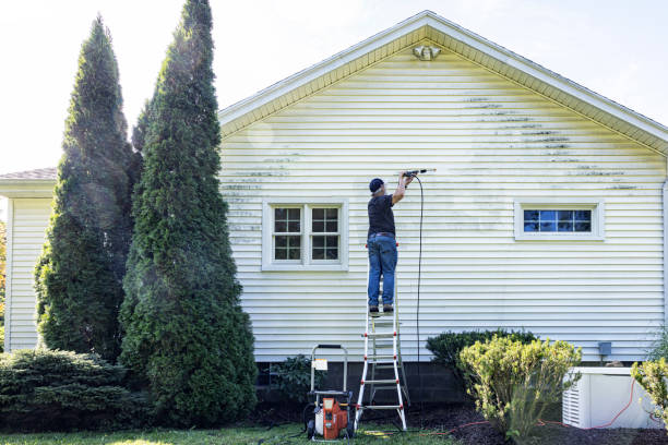 Best Driveway Pressure Washing  in Cockrell Hill, TX